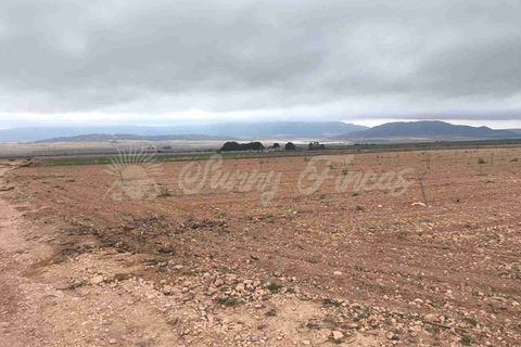 Helårsgrund i Yecla, Murcia, Yecla - € 47.000 | Ref: SF0566 - foto 3